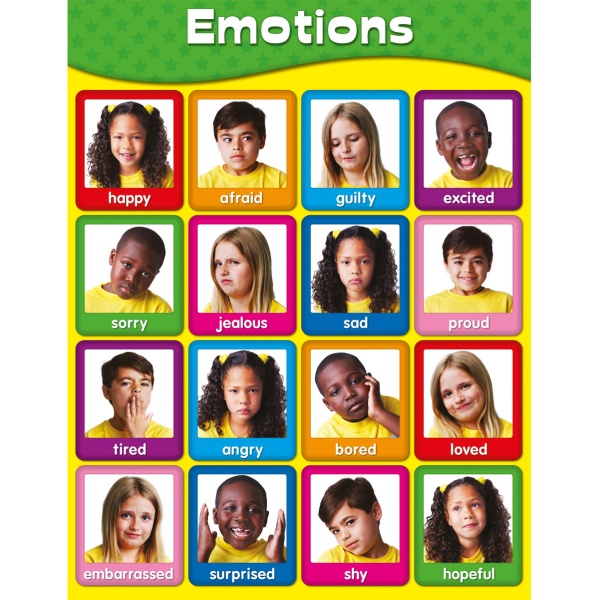 Emotions Bulk Pack