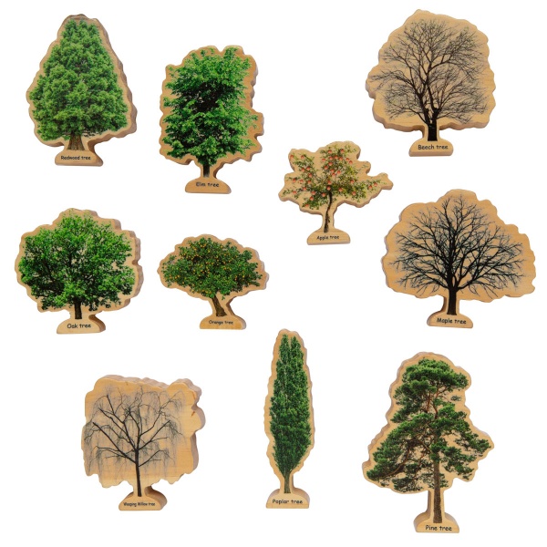 Seasons Trees