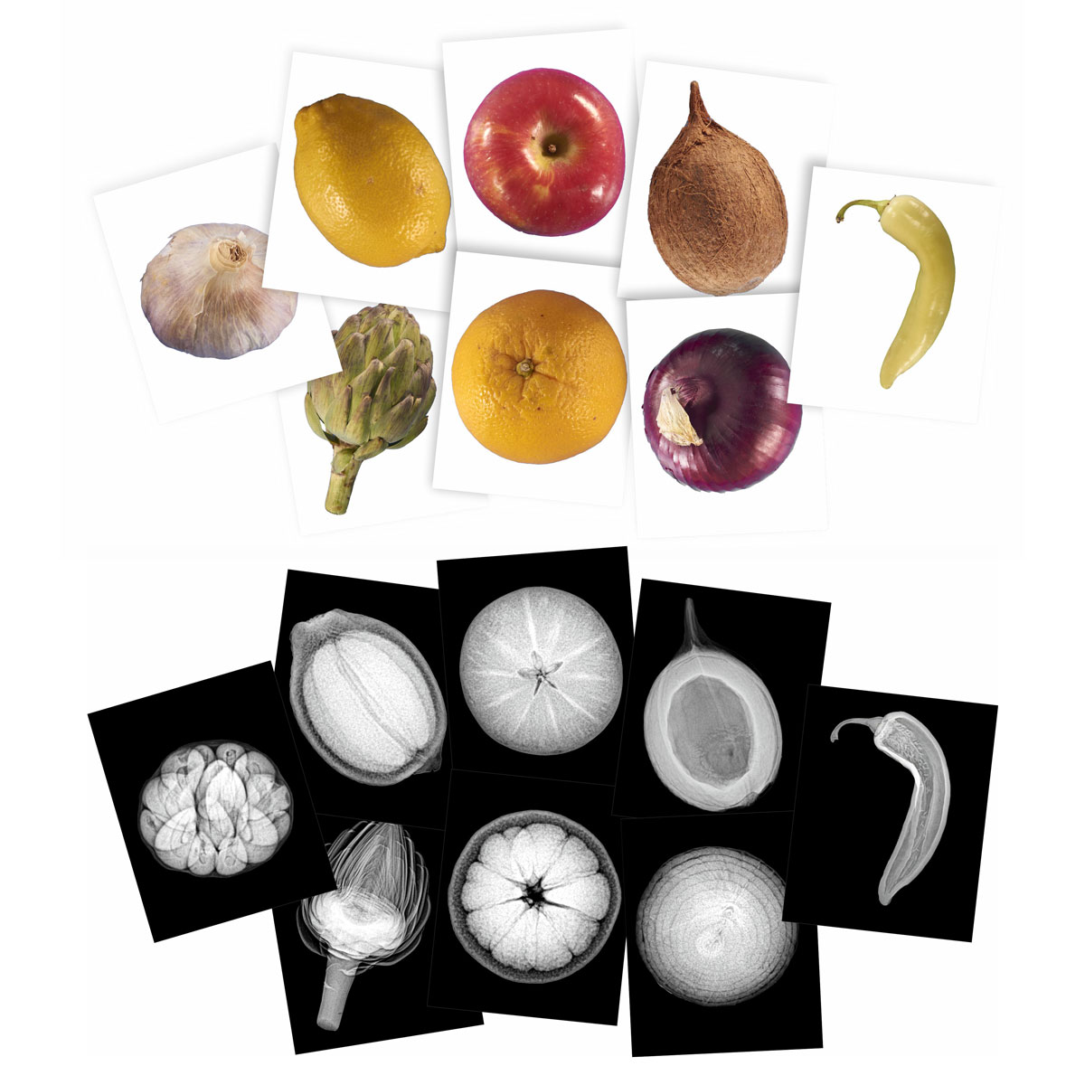 Plant X-Rays and Picture Cards