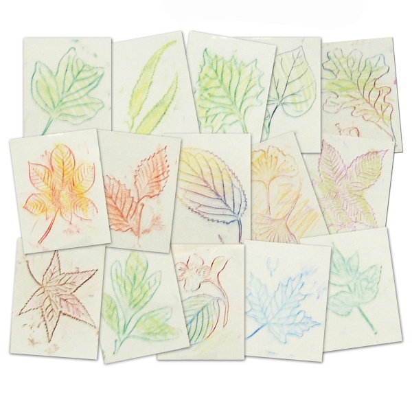 Leaf & Animal Rubbing Plates Pack