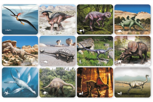 Discover Dinosaurs Picture Cards & X-Rays